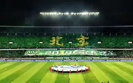 包含风云突变北京国安今晚手感冰凉，亚冠版图或变，球迷炸锅，团队化学反应显著的词条