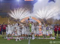 开云下载-曼城十二连胜